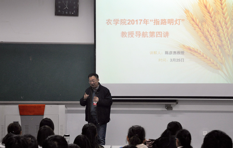 百家乐网址