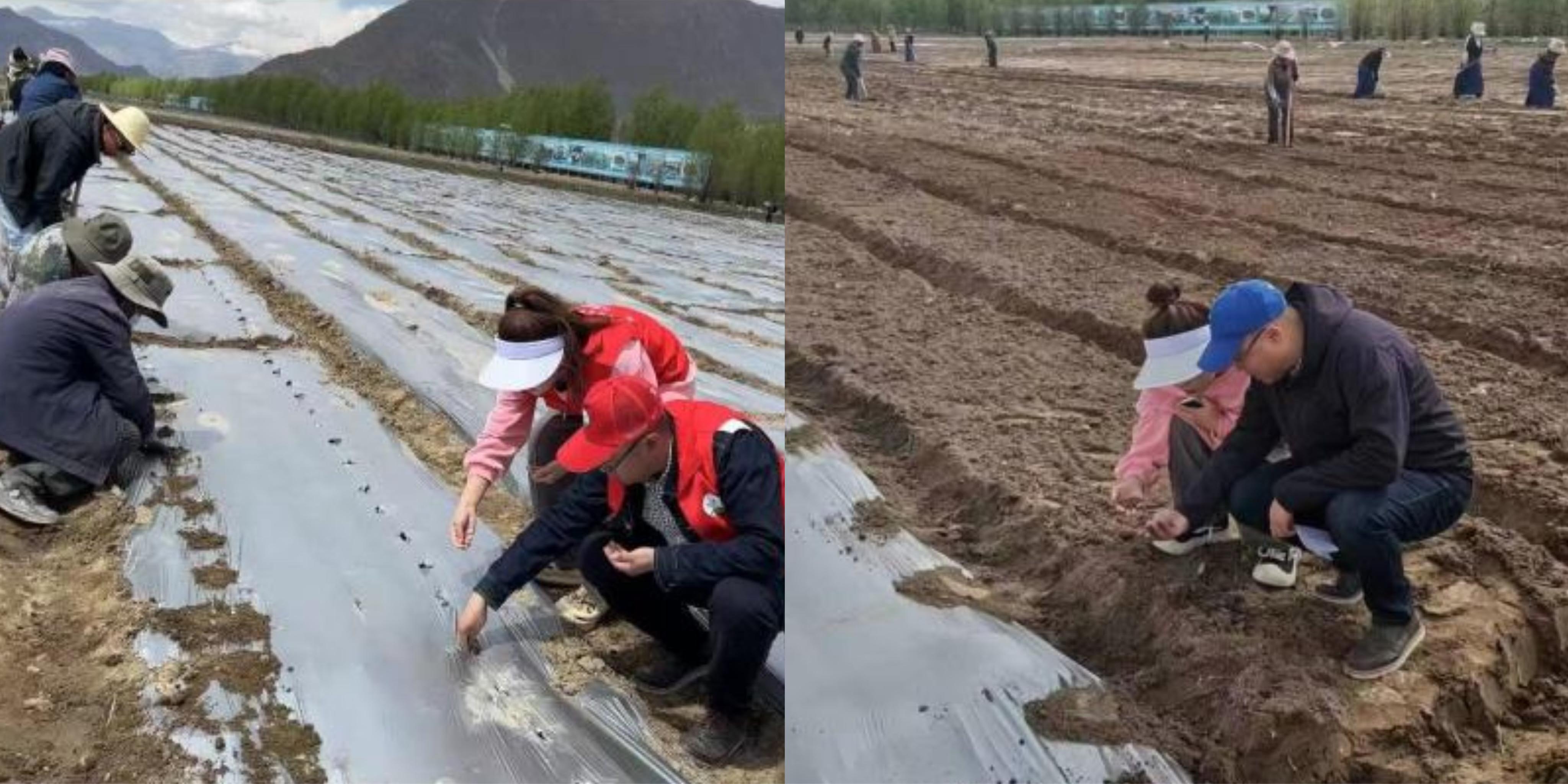 百家乐网址