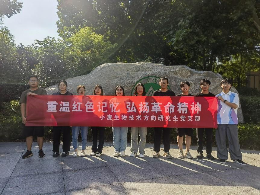 百家乐网址