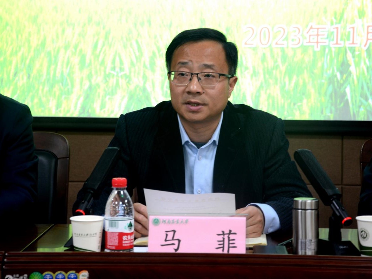 百家乐网址