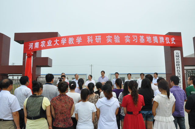 百家乐网址