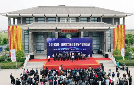 百家乐网址