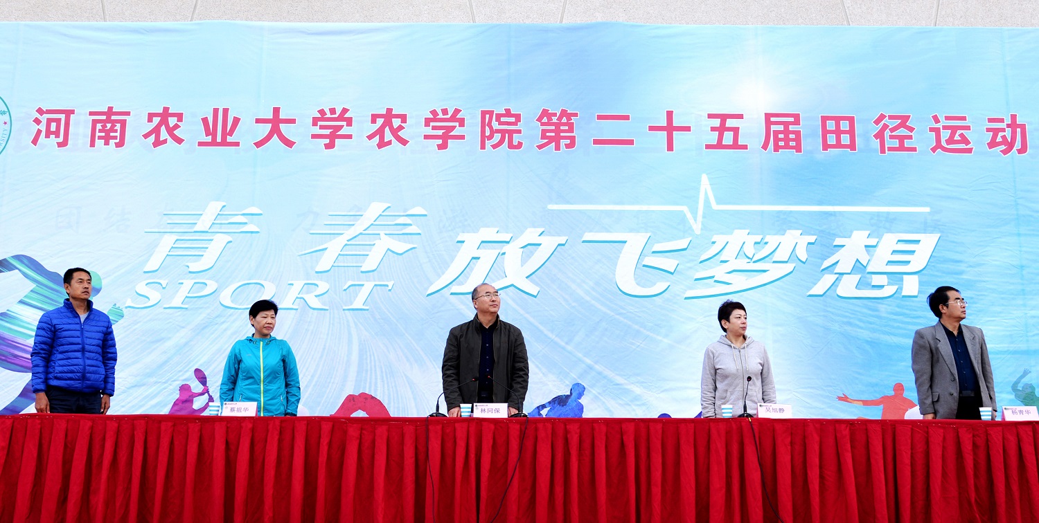 百家乐网址