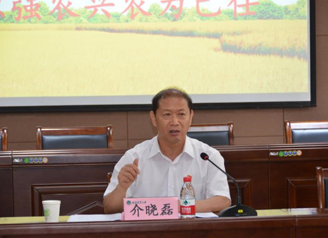 百家乐网址