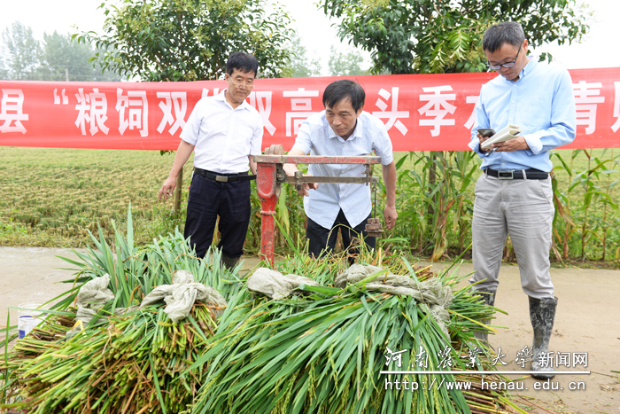 百家乐网址