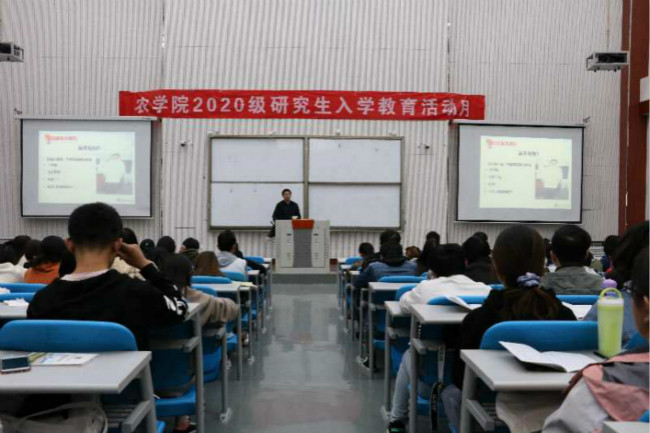 百家乐网址