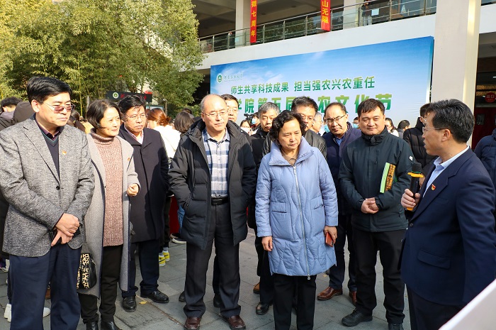 百家乐网址