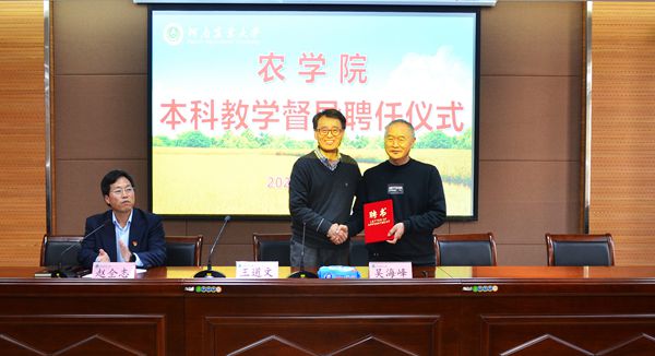 百家乐网址