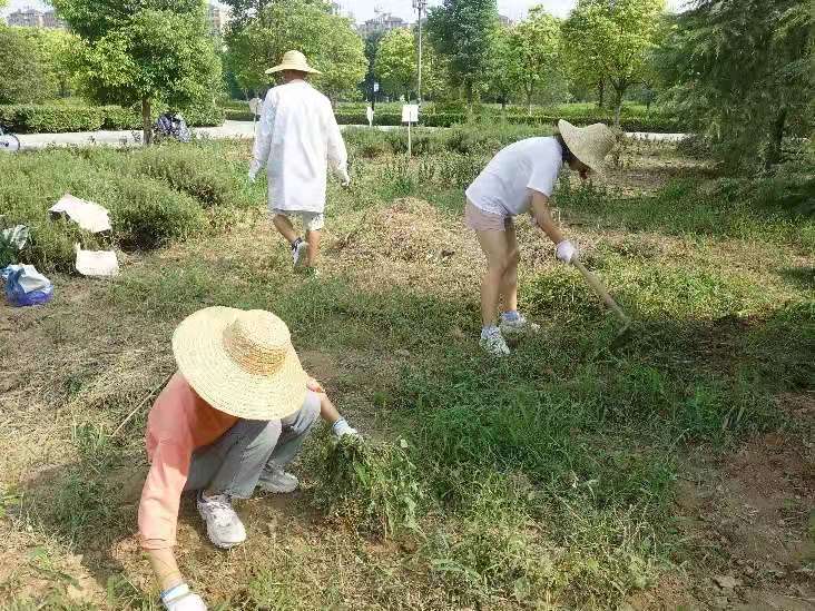 百家乐网址