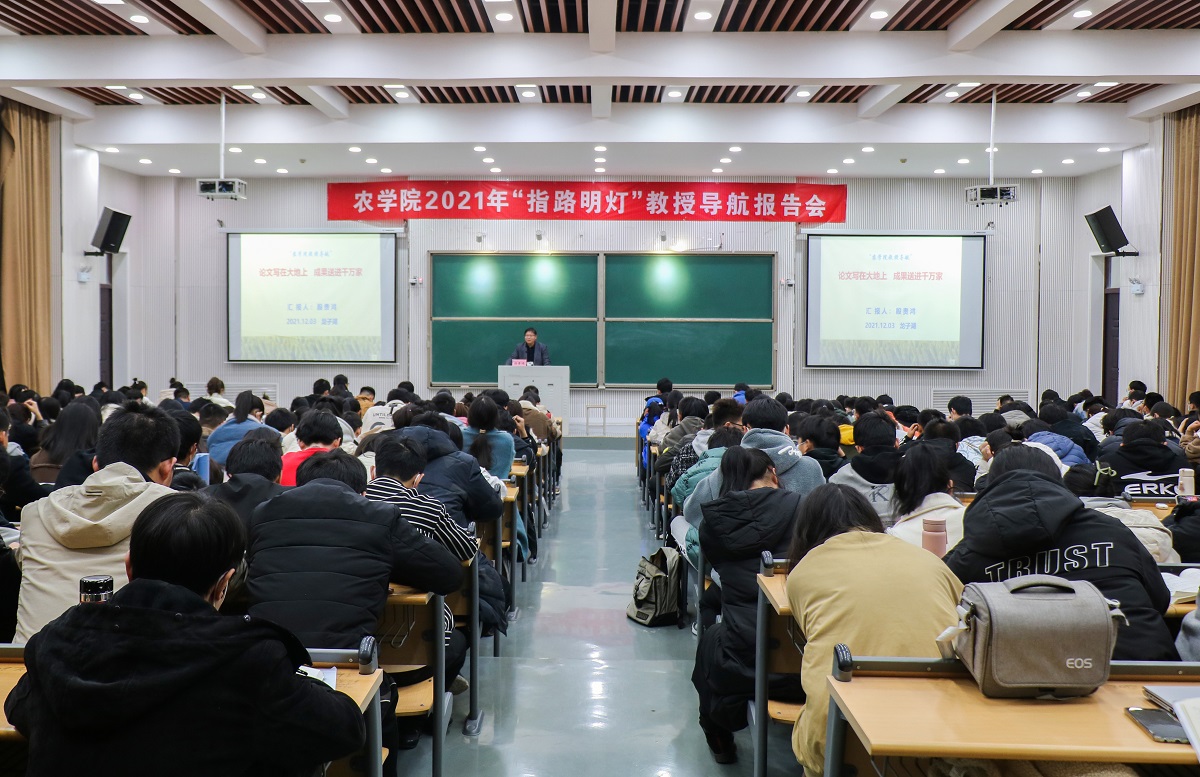 百家乐网址