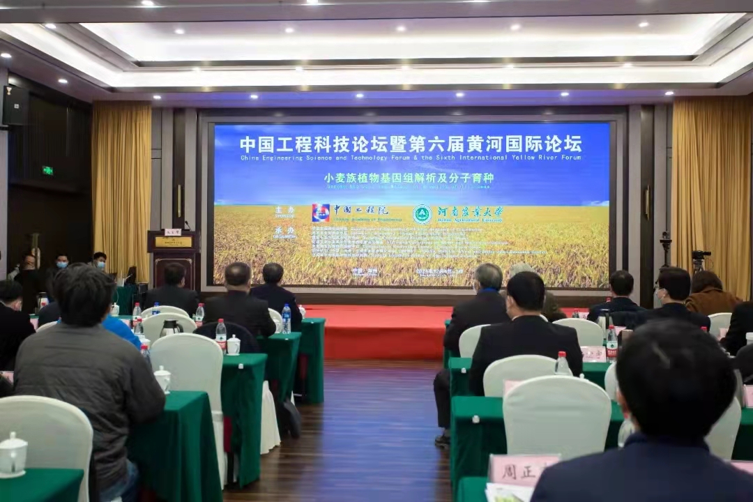 百家乐网址