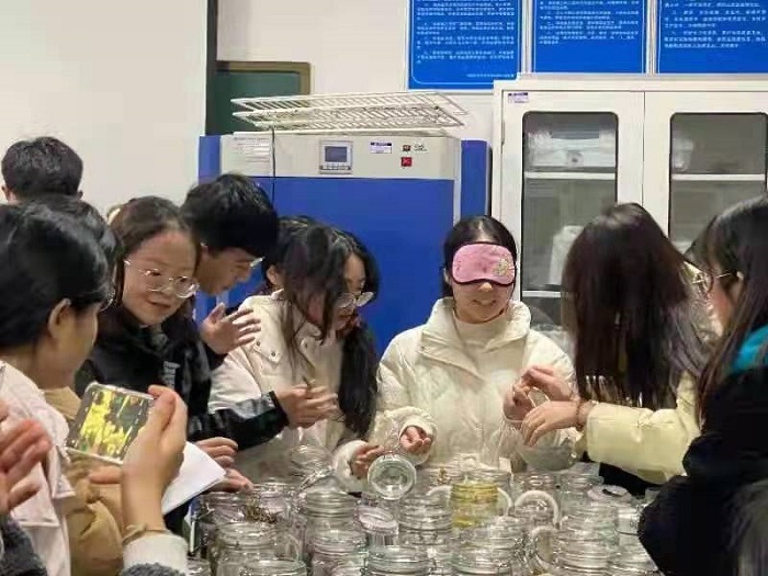 百家乐网址