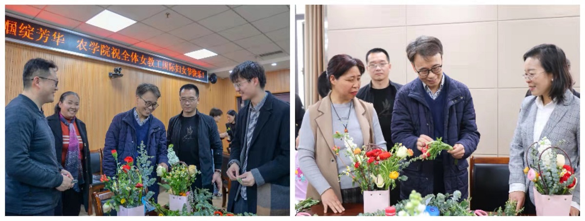 百家乐网址