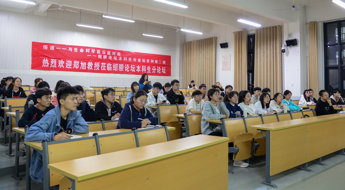 百家乐网址