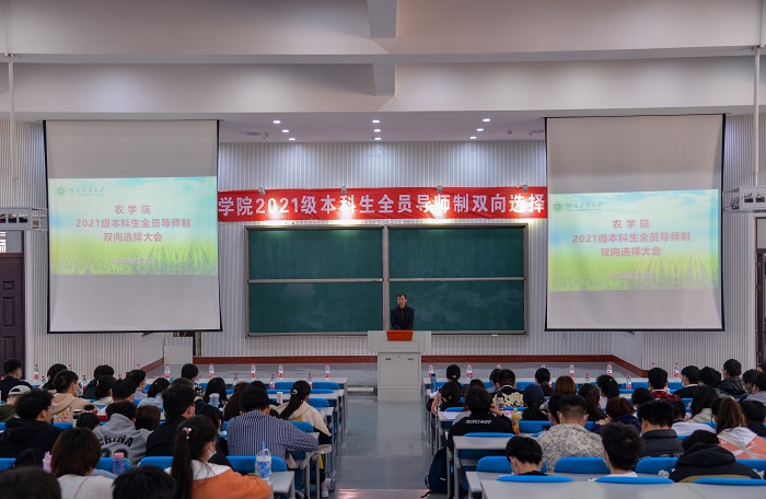 百家乐网址
