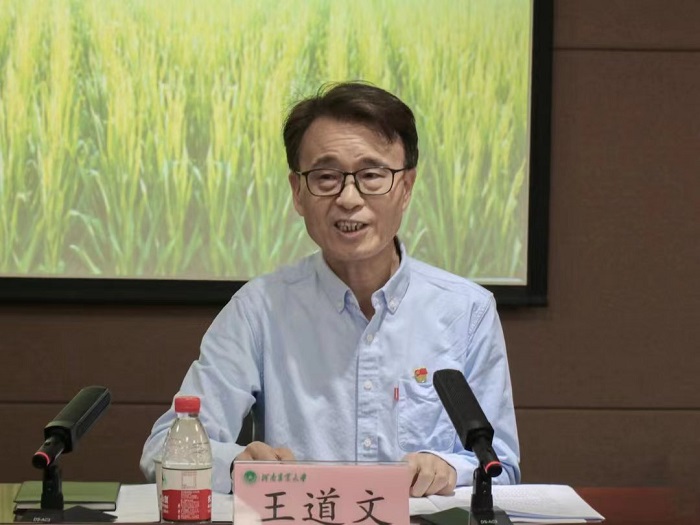 百家乐网址