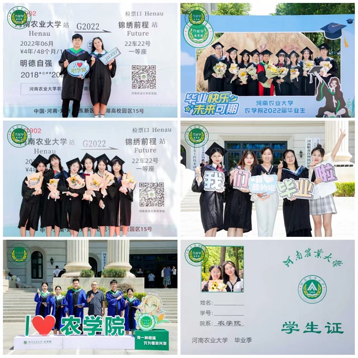 百家乐网址