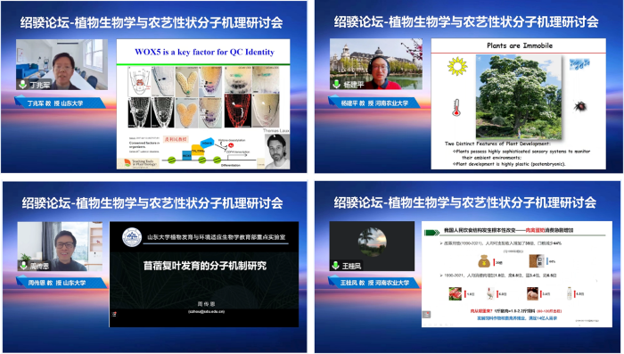 百家乐网址