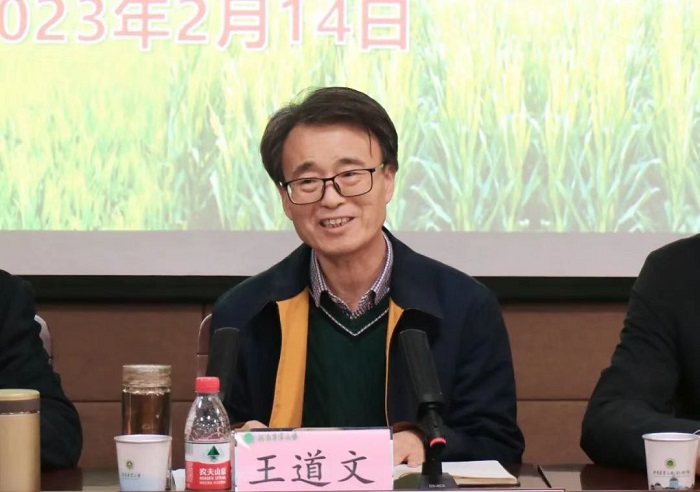 百家乐网址