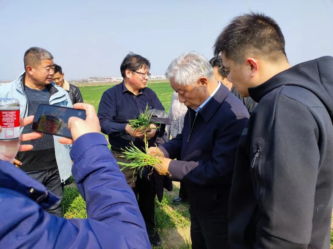 百家乐网址