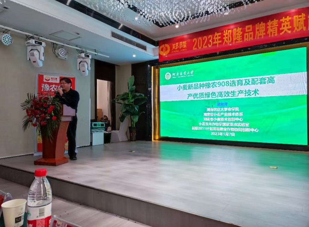 百家乐网址