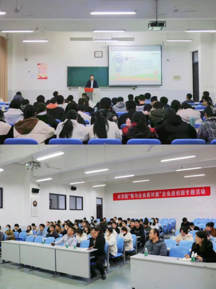百家乐网址