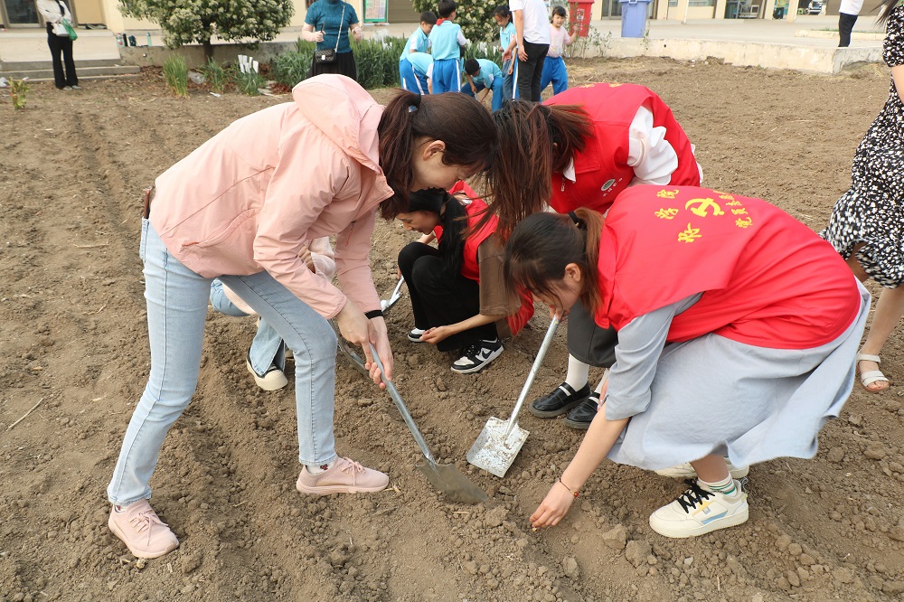 百家乐网址