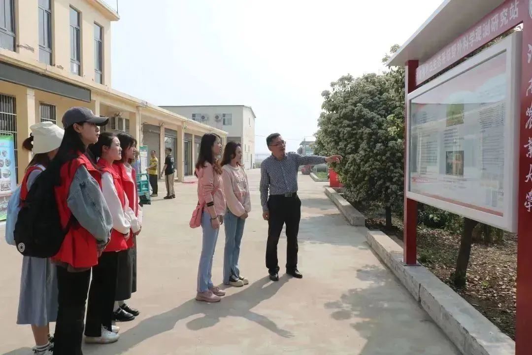百家乐网址