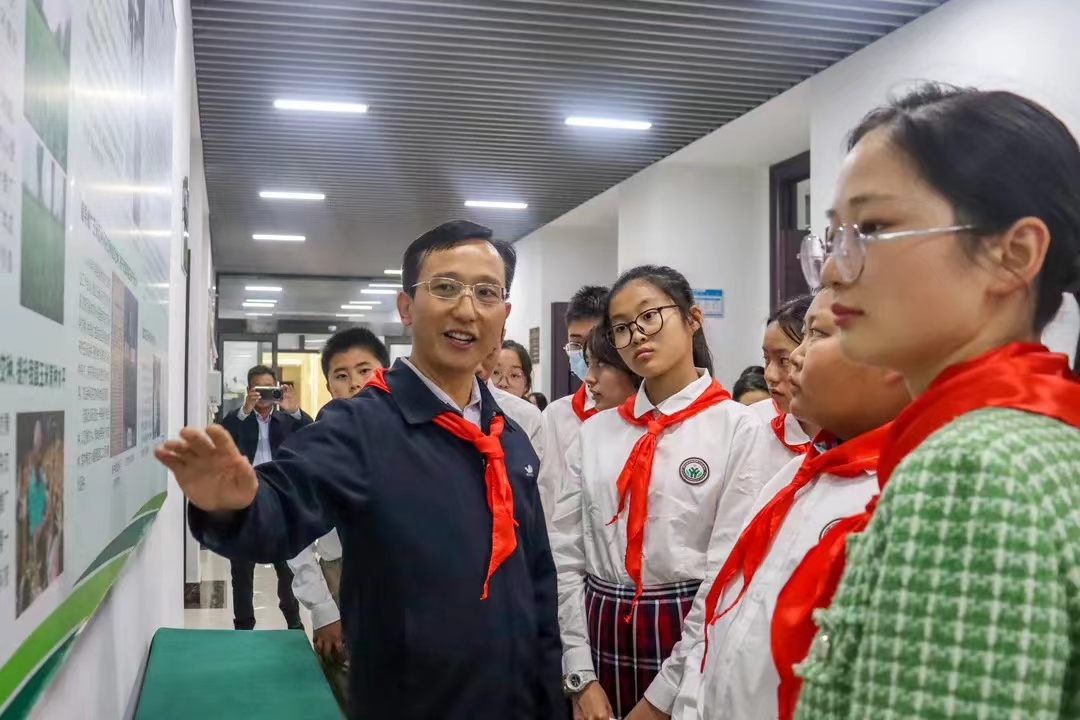 百家乐网址
