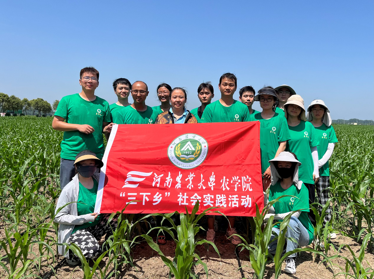 百家乐网址