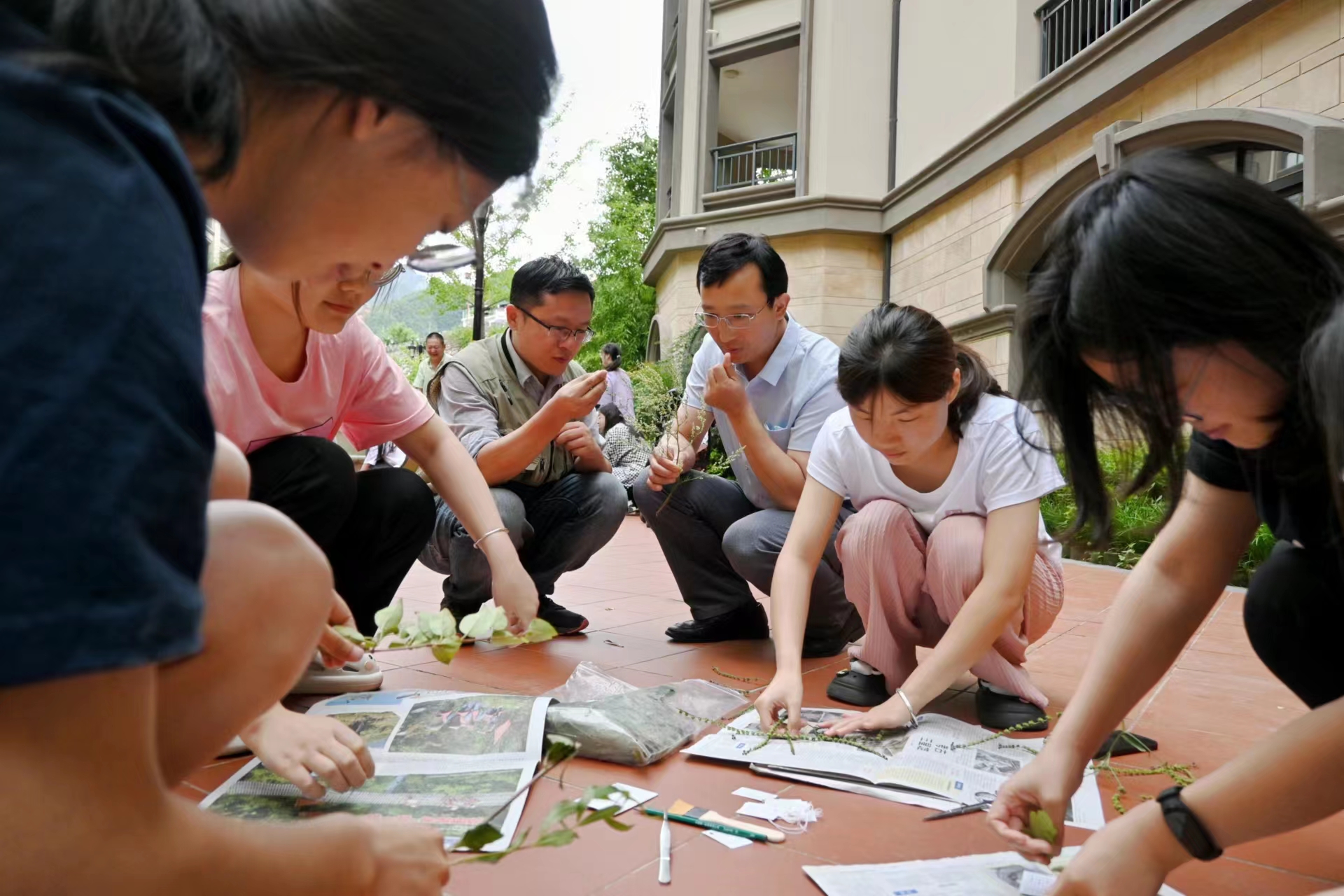 百家乐网址