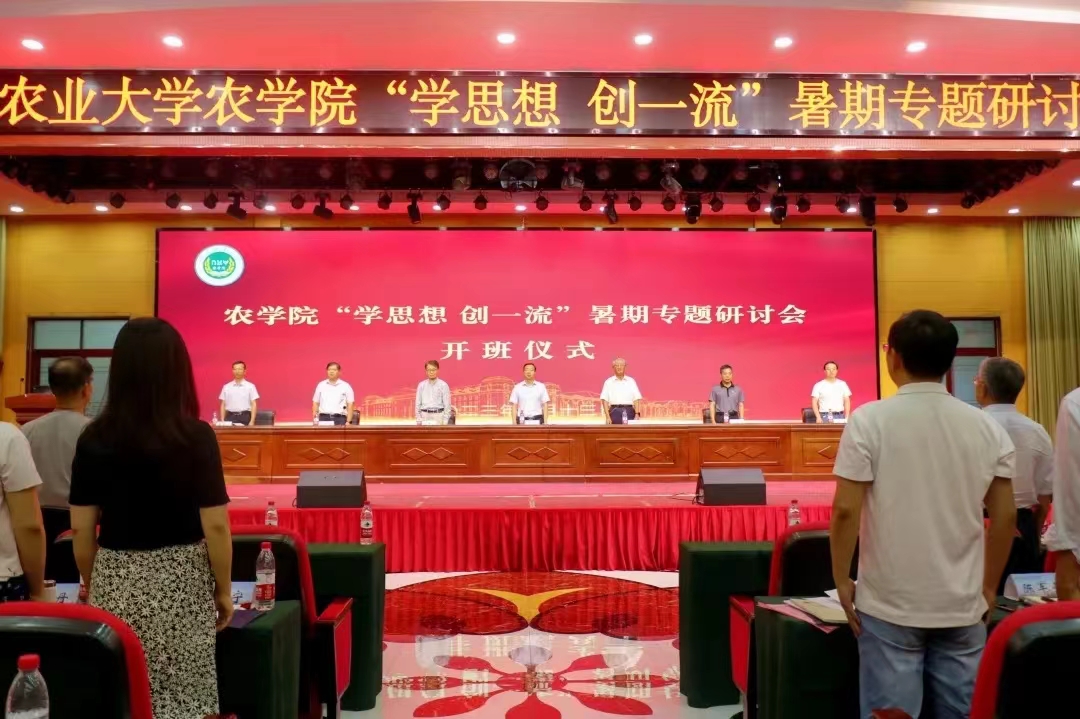 百家乐网址