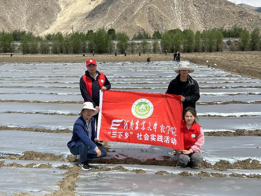 百家乐网址