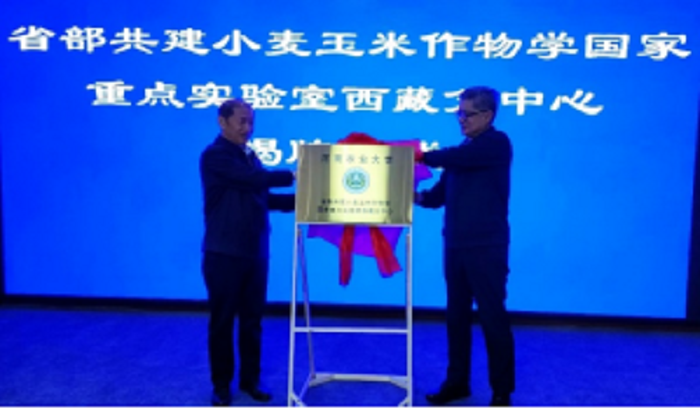 百家乐网址