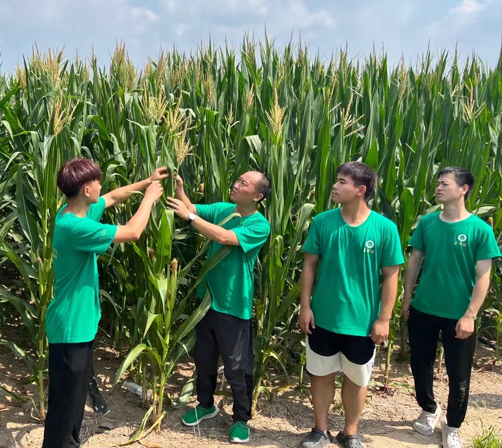 百家乐网址
