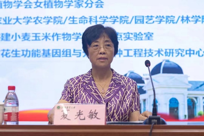 百家乐网址