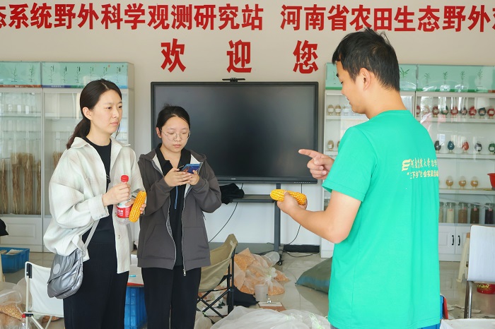 百家乐网址