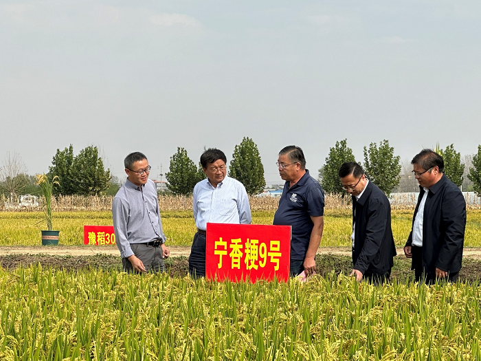 百家乐网址