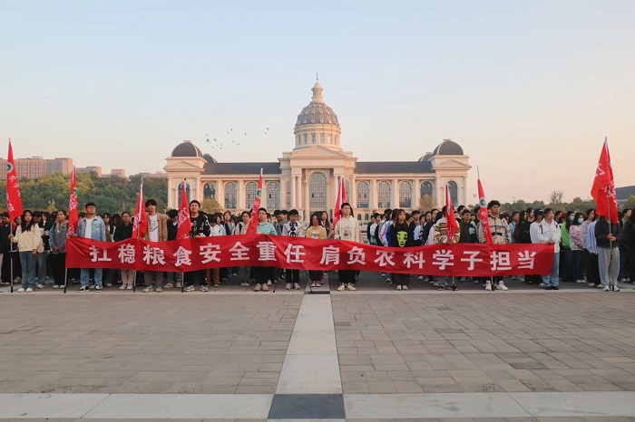 百家乐网址