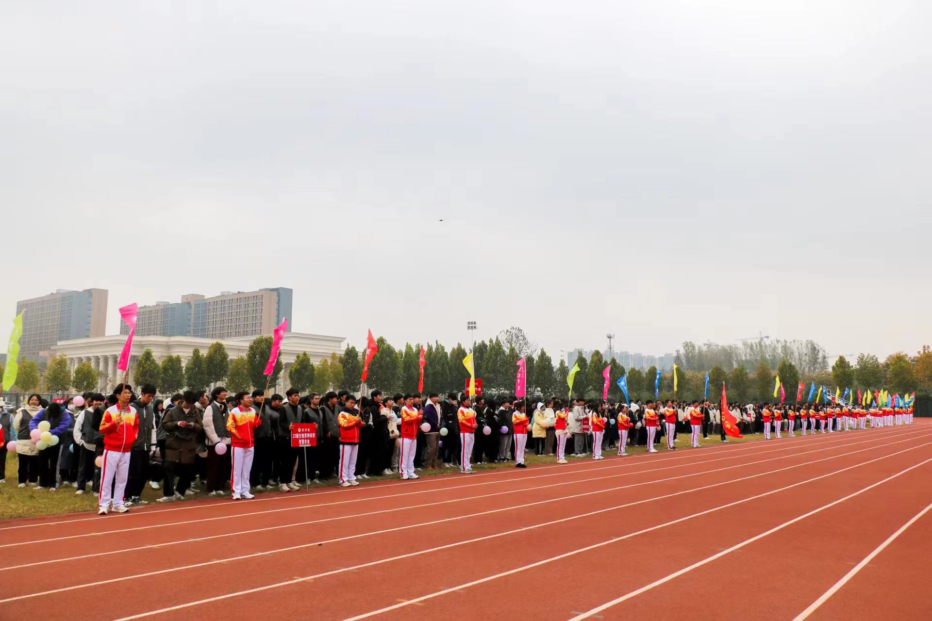 百家乐网址