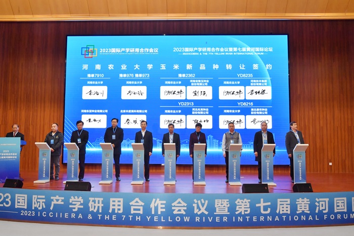 百家乐网址