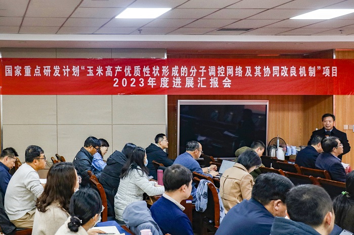 百家乐网址