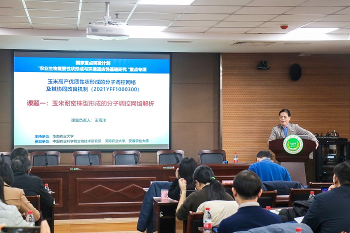 百家乐网址