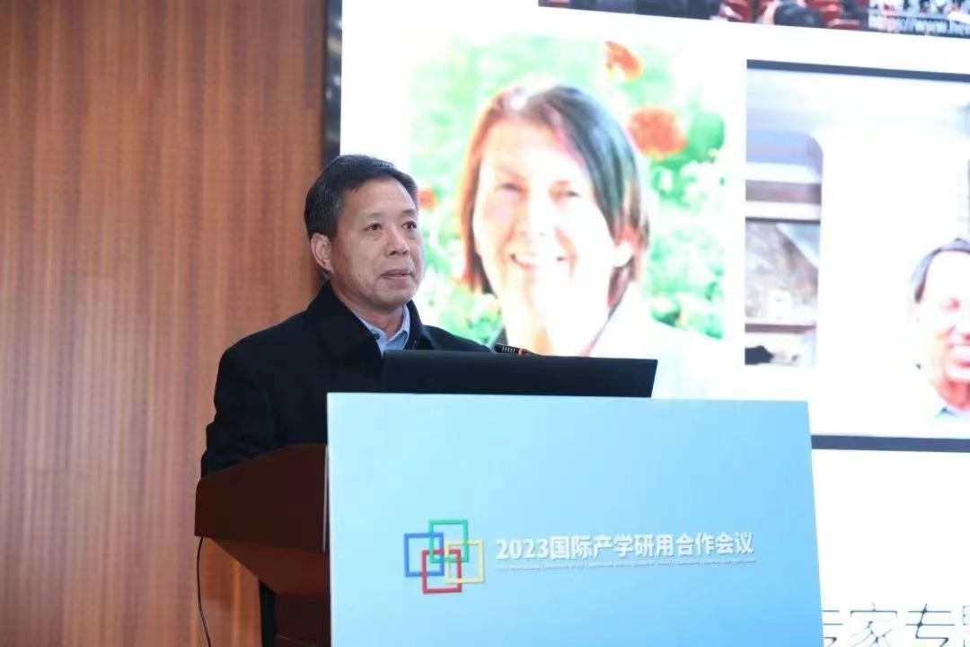 百家乐网址