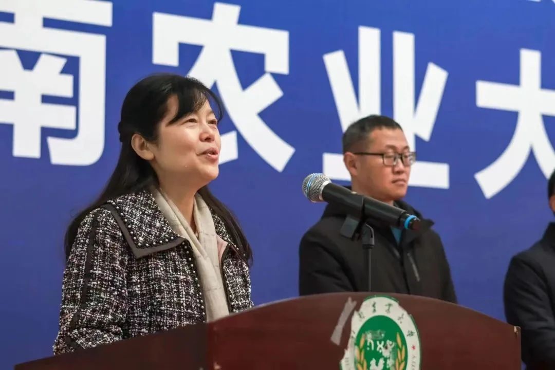 百家乐网址