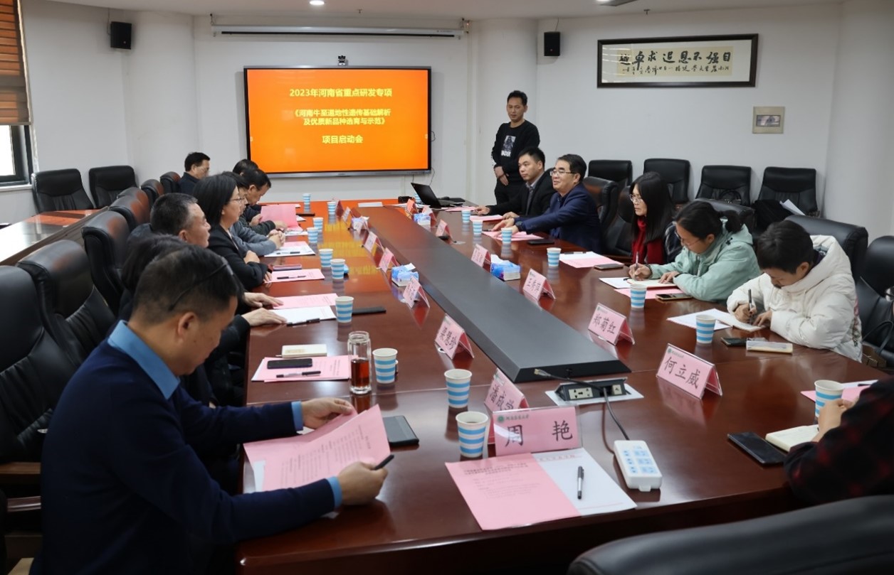 百家乐网址