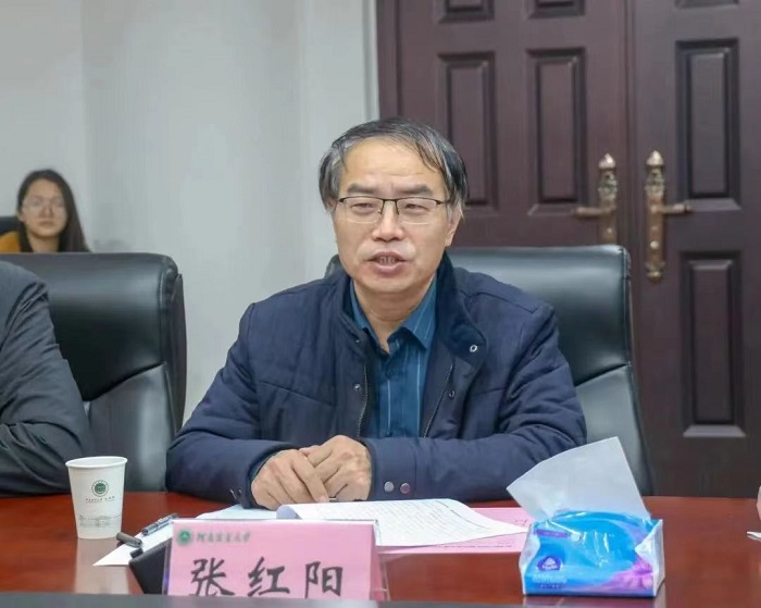 百家乐网址
