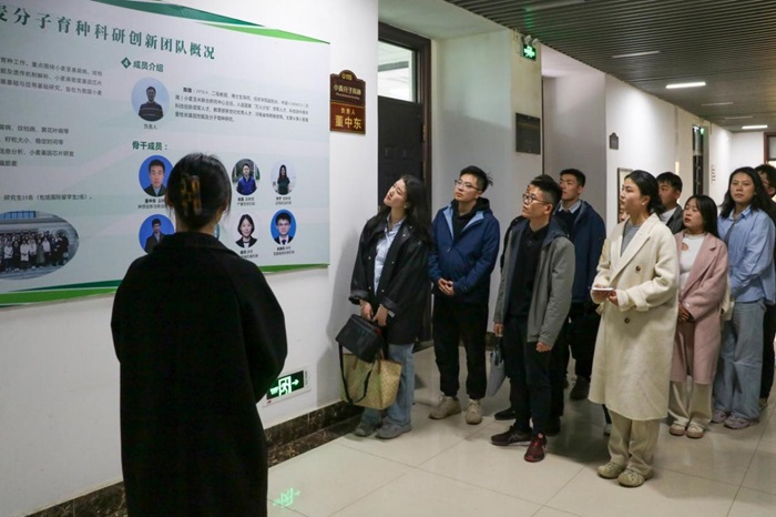 百家乐网址
