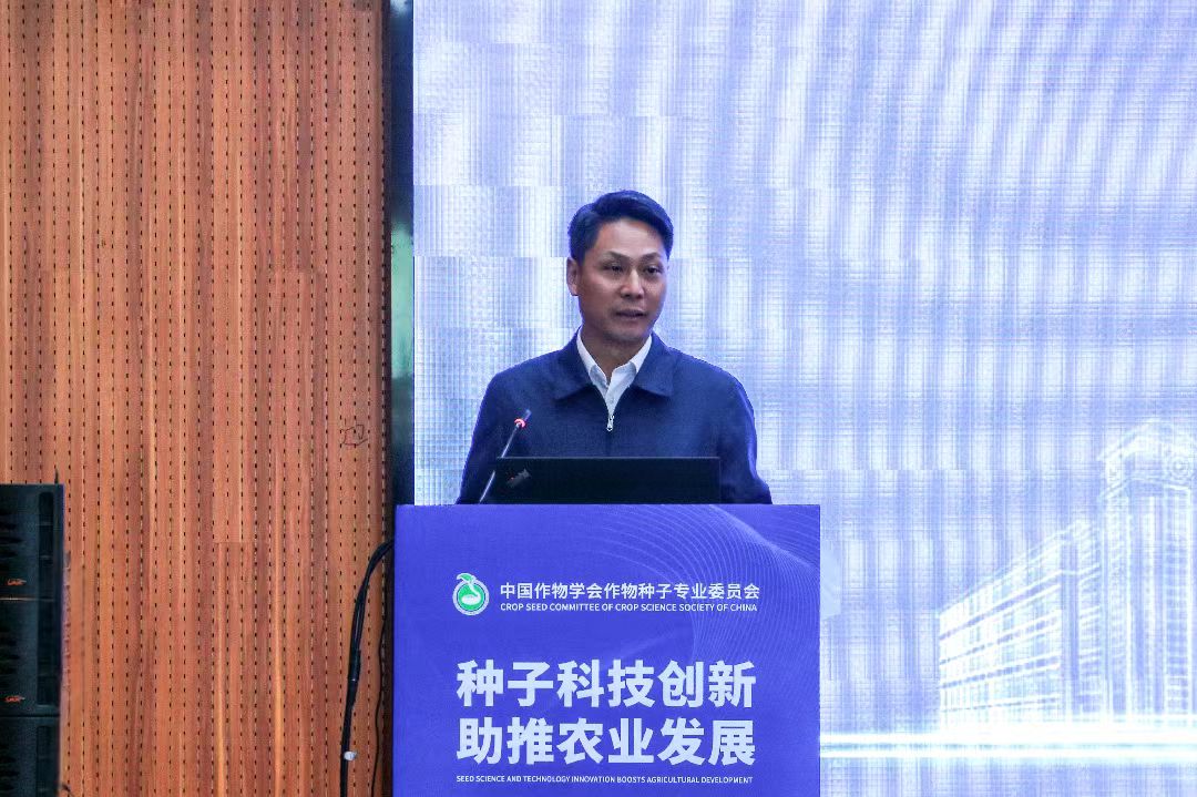 百家乐网址