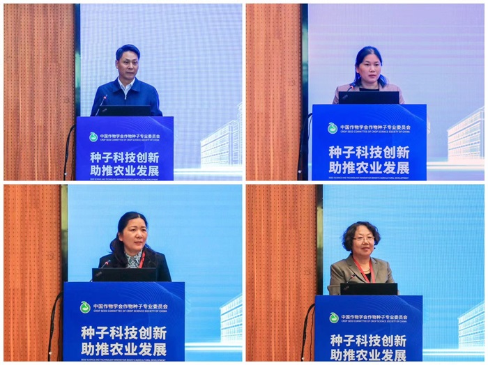 百家乐网址